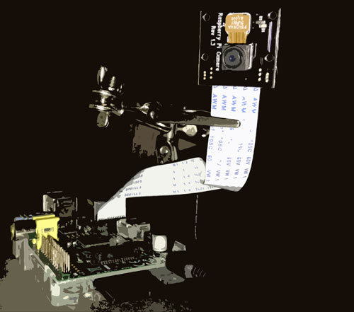 Raspberry Pi NoIR Camera